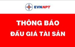 Hủy bỏ kết quả lựa chọn tổ chức đấu giá tài sản thanh lý của công ty Truyền tải điện 1