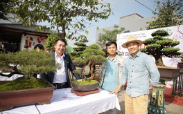 Thành Đồng Coffee & Landscape (Hà Tĩnh): Địa chỉ giao lưu, chia sẻ đam mê các tác phẩm nghệ thuật cây cảnh, bonsai