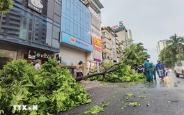 Các địa phương dồn sức ứng phó, hạn chế thiệt hại do cơn bão số 3