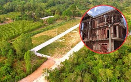 Kể từ nay, đáp ứng điều kiện này mới được phép chuyển đổi đất trồng cây lâu năm sang đất ở