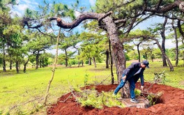 Gia Lai chỉ đạo nóng về dự án 2.800 tỷ của Tập đoàn FLC