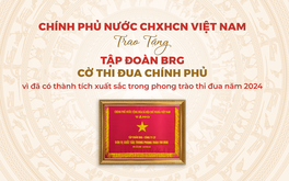 Tập đoàn BRG được trao tặng Cờ Thi đua Chính phủ