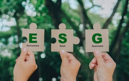 Thúc đẩy thực hành ESG: Nền móng cho thị trường vốn xanh Việt Nam