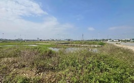 Một lô đất cấp xã ở Nghệ An gây 'sốc' với giá khởi điểm hơn 12 tỷ đồng