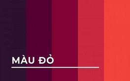 Mệnh Mộc hợp màu đỏ không? Giải đáp từ chuyên gia phong thủy