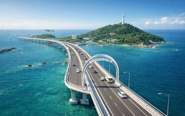 Gần 10ha rừng phòng hộ tại tỉnh lớn thứ 3 vùng ĐBSCL sẽ được chuyển đổi, nhường chỗ cho tuyến đường nối ra đảo