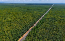 Vỡ tiến độ tuyến đường 2.300 tỷ đi xuyên rừng cao su ở miền Nam