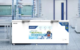 Tủ đông Hòa Phát bảo ôn dày 67mm được chủ cửa hàng chọn mua dịp Tết