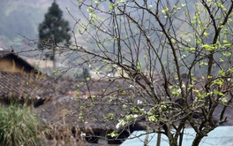 Photo Travel: Lũng Cẩm, ngôi làng cổ giữa miền đá xám