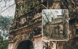 Biệt thự 'ma' giữa lòng cố đô: Tàn tích của một thời hoàng kim, nơi bồ đề trăm tuổi ôm trọn ký ức vương giả dưới triều Nguyễn