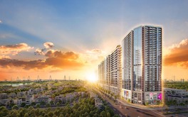 Tham vọng doanh thu cao kỷ lục - Các dự án Sunshine Group đang chạy đua với thời gian ra sao?