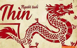 Sinh năm 2000 tuổi con gì? Tất tần tật thông tin phong thủy tuổi Canh Thìn