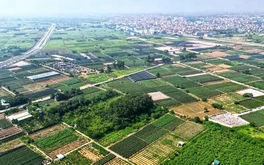 Đất đấu giá tỉnh vùng ven có giá trúng cao hơn các huyện ở Hà Nội, vì sao?