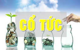 Doanh nghiệp bất động sản "đua" trả cổ tức
