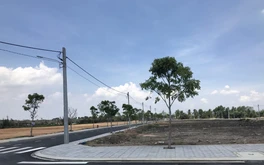 Thị trường đất nền khu quận 9 cũ: Giá tăng, giao dịch tăng