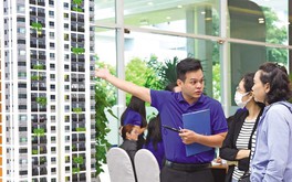 Căn hộ thứ cấp tại TP.HCM giá cao, nhưng khó chốt giao dịch