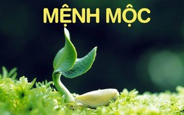 Sinh năm 1988 hợp màu gì khi chọn màu sơn nhà, màu xe, phụ kiện phong thủy?