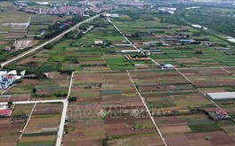 Hà Nội sẽ đấu giá 50 thửa đất tại huyện Mỹ Đức