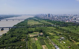 Hà Nội đề xuất cho xây nhiều loại công trình trên đất nông nghiệp ở bãi sông
