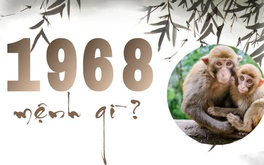 Sinh năm 1968 mệnh gì? Màu sắc, hướng hợp và tử vi tuổi Mậu Thân 1968