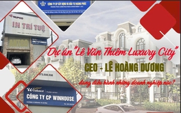 CEO dự án "Lê Văn Thiêm Luxury City" điều hành những doanh nghiệp nào?