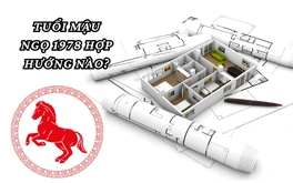 Tuổi 1978 hợp hướng nào? Lựa chọn hướng phong thuỷ tốt nhất