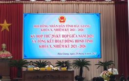 Hậu Giang: Trình HĐND hủy bỏ 16 dự án có sử dụng đất phải chuyển mục đích sử dụng đất trồng lúa