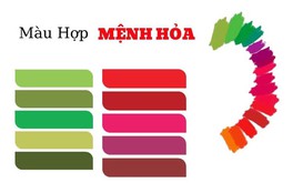 Mệnh Hỏa hợp màu gì? Những màu sắc mang lại may mắn, tài lộc cho người mệnh Hỏa