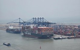 Hải Phòng: Chấp thuận chủ trương đầu tư bến cảng container hơn 24.000 tỷ đồng