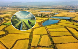 Đề xuất giảm 70% tiền chuyển đất nông nghiệp sang đất ở