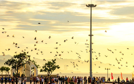 Bất động sản Nha Trang đón sóng di cư