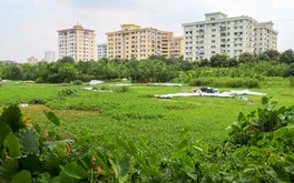 Hà Nội: Dự án Khu đô thị Trũng Kênh vẫn nằm "trên giấy" gần 2 thập kỷ
