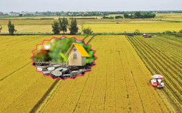 Chi tiết cách chuyển đổi đất nông nghiệp sang đất thổ cư mới nhất 2025