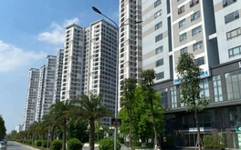 Chuyên gia chỉ ra lý do có thể khiến giá chung cư giảm