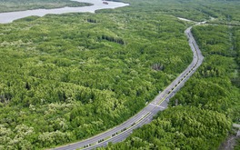 Bổ sung quy định về tạm sử dụng rừng để thi công các dự án cấp thiết