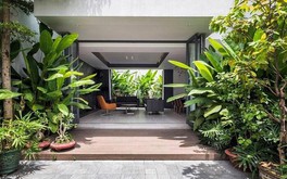 Những loại cây nên trồng trước nhà để cải thiện phong thủy