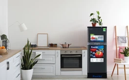 Tủ lạnh tiết kiệm nào phù hợp với người lao động giữa bão giá?