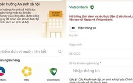 Ngân hàng đồng loạt hướng dẫn liên kết VNeID để nhận 100.000 đồng - quà Quốc khánh 2/9