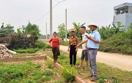 Dự báo các tâm điểm đầu tư của thị trường đất nền phía Bắc cuối năm 2025