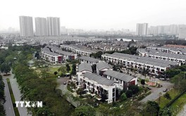 Xây dựng và quản lý hệ thống thông tin, cơ sở dữ liệu về thị trường bất động sản