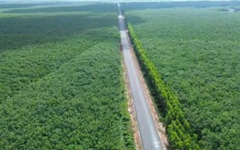 Sắp ‘lên đời’ tuyến đường hơn 80km đi xuyên vùng Đông Nam Bộ