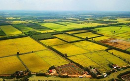 Từ bây giờ, sẽ có thay đổi lớn về đất đai và xây dựng