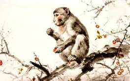 Tết Bính Ngọ gia chủ tuổi Thân nên tránh tuổi nào xông nhà?