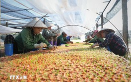 Nghị quyết 68-NQ/TW: Động lực để Việt Nam bứt phá tới ngưỡng thu nhập cao