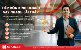 Nghịch lý "lính mới": Kinh doanh nhiều năm vẫn khó vay vốn sau khi chuyển đổi doanh nghiệp