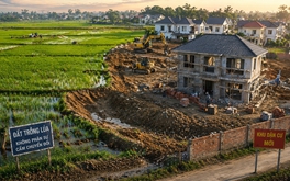 Kể từ nay, chuyển đất trồng lúa sang đất ở trái phép có thể bị phạt đến 400 triệu đồng