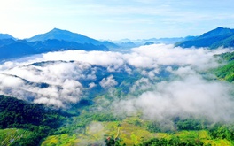 Tỉnh từng đông dân nhất Việt Nam sẽ có thêm khu dịch vụ du lịch khách sạn gần 18.000m2