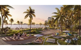 The Spotlight Collection: Khi vị thế “tâm điểm” khơi mở giá trị đầu tư bền vững