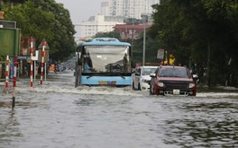 Hà Nội nghiên cứu mô hình thành phố bọt biển để giảm ngập đô thị