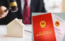 Hà Nội: Sắp đấu giá 17 thửa đất tại xã Ứng Thiên, giá khởi điểm từ 11,8 triệu đồng/m2